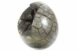 Septarian Dragon Egg Geode - Sparkly Black Crystals #355908-1